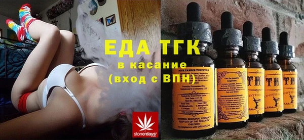 тгк Медногорск