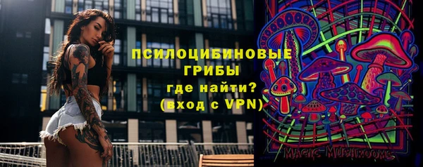 твердый Михайловка