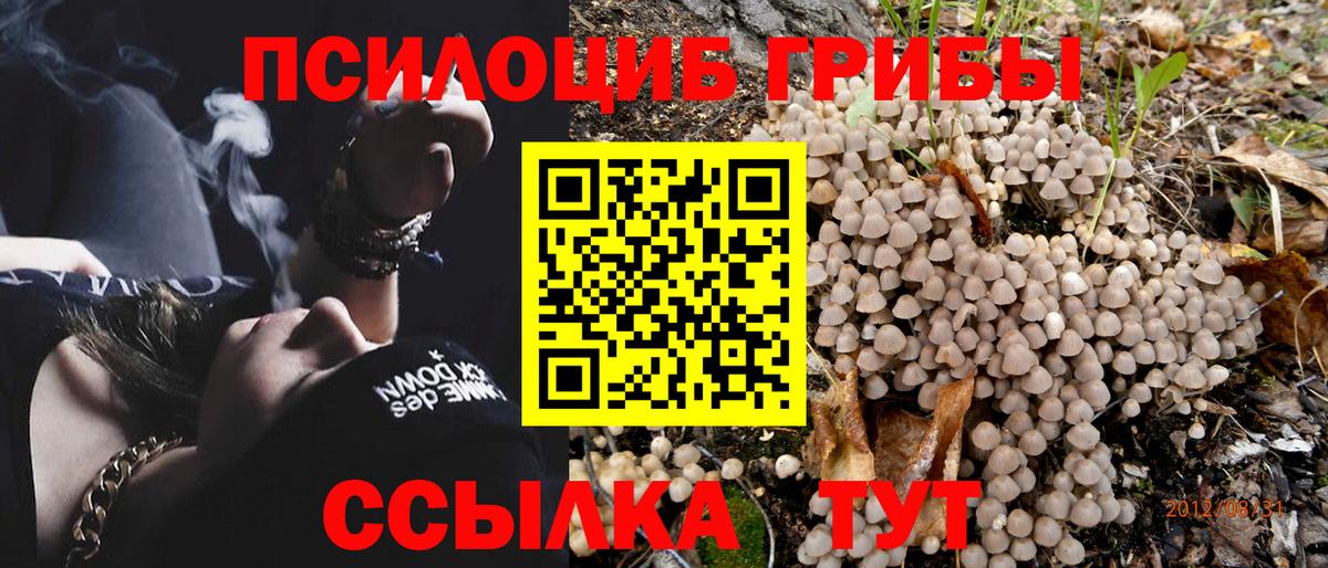 Галлюциногенные грибы Psilocybine cubensis  даркнет сайт  Асино  Вход с VPN 