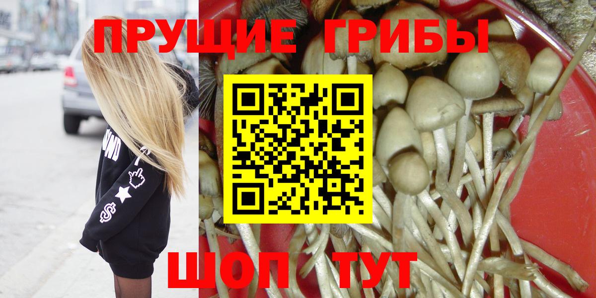 Галлюциногенные грибы GOLDEN TEACHER  Асино 